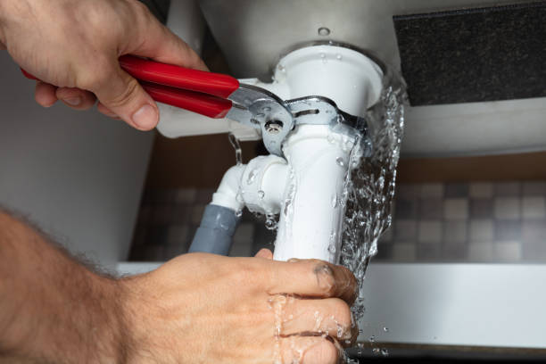 Best Water damage cleanup near me  in Centuria, WI