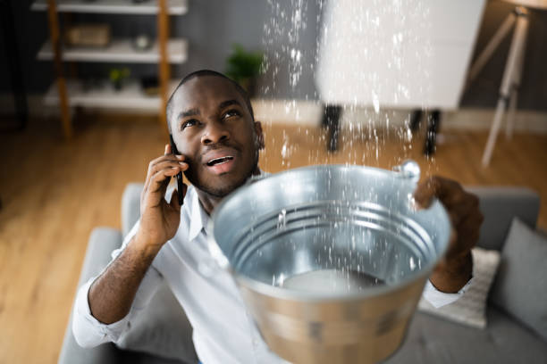 Best Flood restoration services  in Centuria, WI