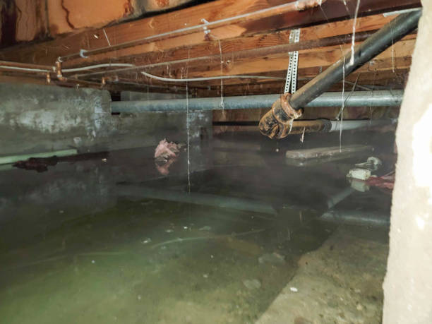 Best Water damage mitigation services  in Centuria, WI