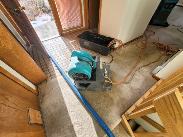 Best Flooded house restoration  in Centuria, WI