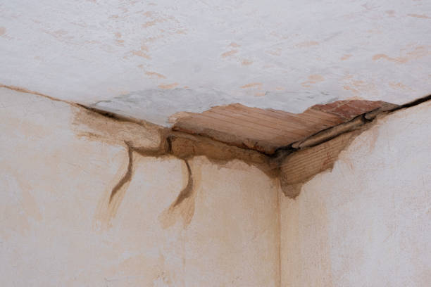 Best Emergency water damage restoration  in Centuria, WI