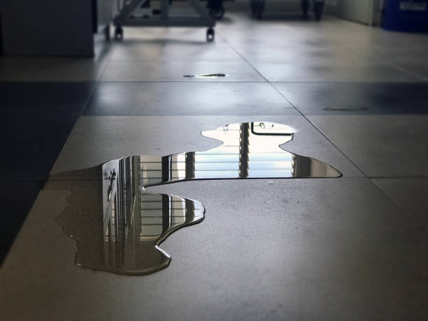 Best Water damage repair service  in Centuria, WI