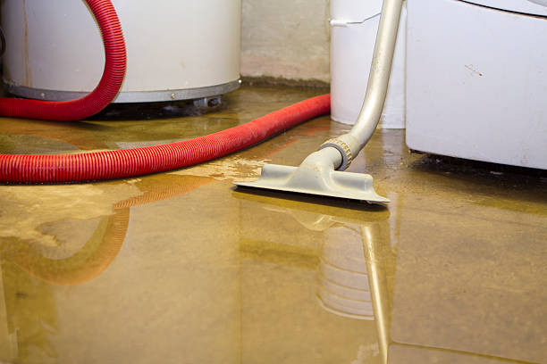 Best Water damage restoration insurance claims  in Centuria, WI