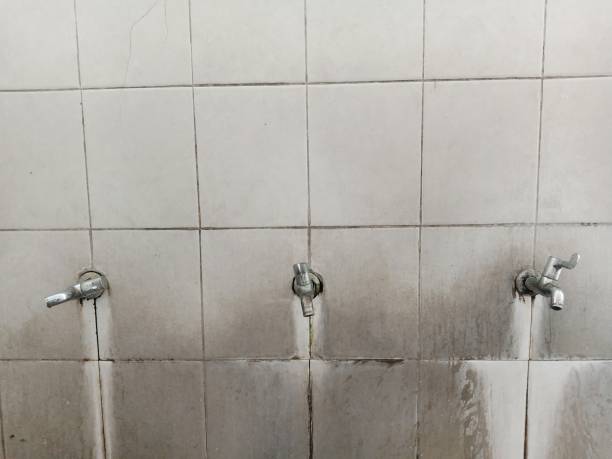 Best Water damage mitigation services  in Centuria, WI