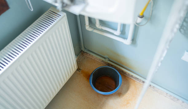 Best Professional water damage repair  in Centuria, WI