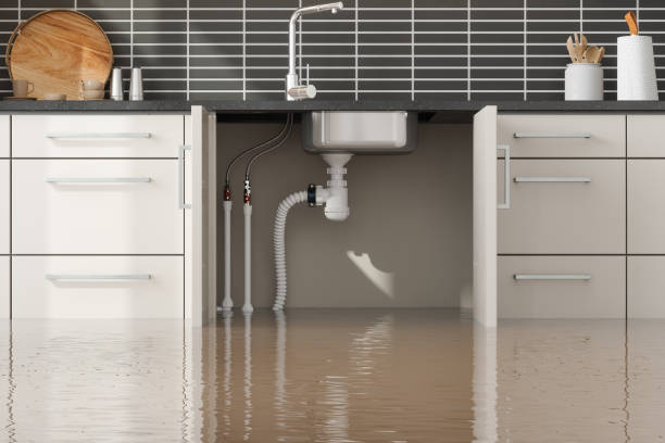Best Sewage cleanup and water damage restoration  in Centuria, WI