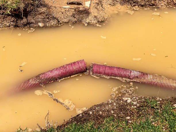 Trusted Centuria, WI Water damage restoration Experts