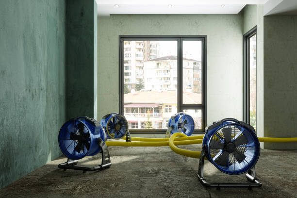 Best Water damage contractors near me  in Centuria, WI