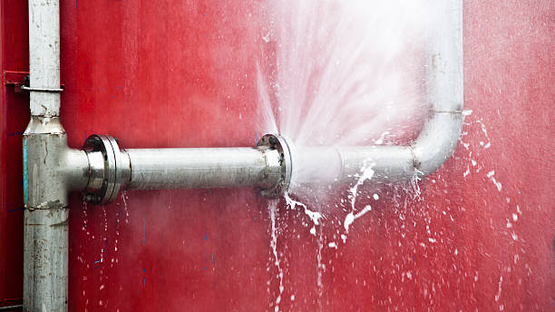 Best Local water damage restoration  in Centuria, WI