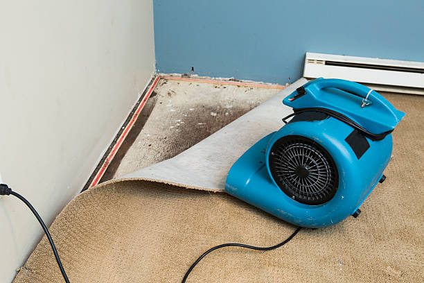  Centuria, WI Water damage restoration Pros